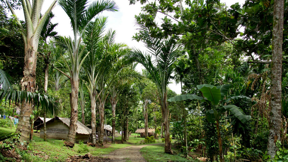 Buka Island (Foto von Jeremy Weate, https://www.flickr.com/photos/73542590@N00/7266738470)