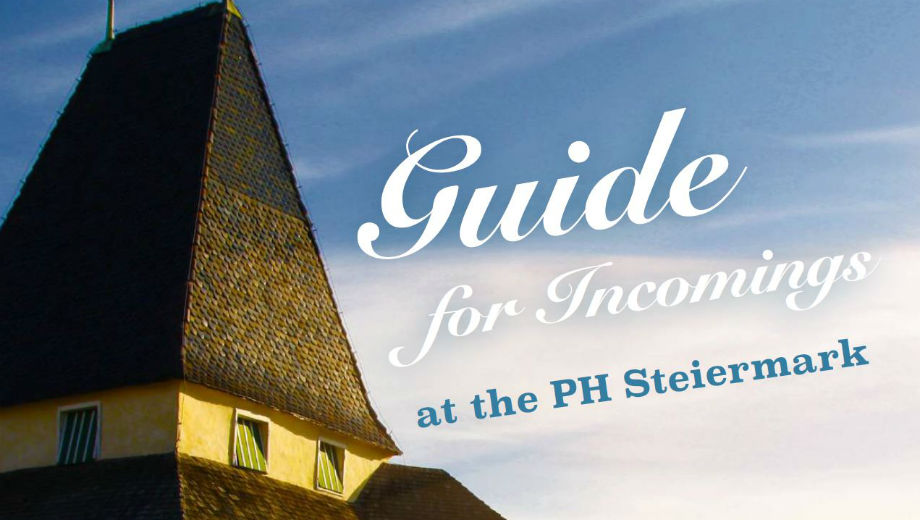 Guide (Foto Screenshot vom Guide)