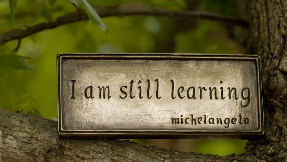 Learning (Image CC BY-NC 2.0 Anne Davis 773 /https://www.flickr.com/photos/anned/8700093610)