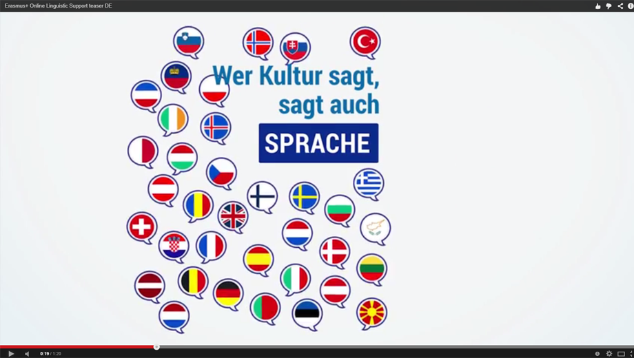 Online Linguistic Support (Image Screenshot)