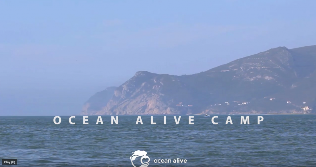 OCEAN ALIVE CAMP (screenshot from https://www.youtube.com/watch?v=t1A_83p-1_M)