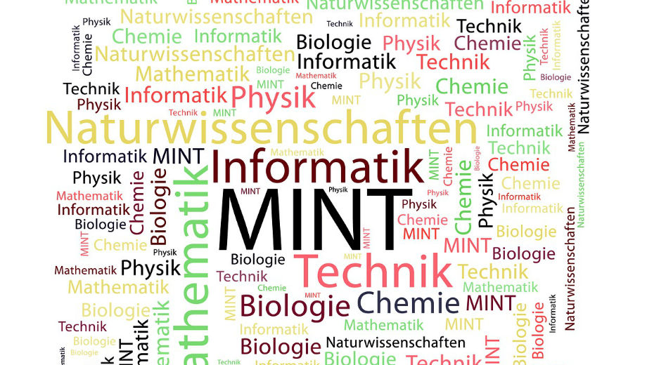 MINT (Taken CC0 https://pixabay.com/en/mint-stem-maths-sciences-1899653/)